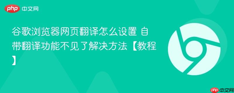 谷歌浏览器网页翻译怎么设置 自带翻译功能不见了解决方法【教程】  第1张