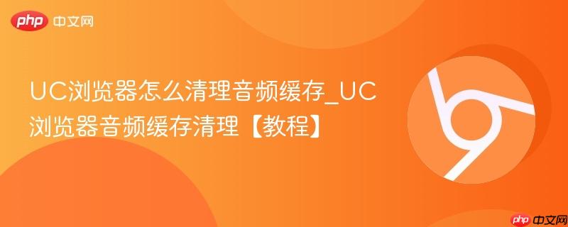 UC浏览器怎么清理音频缓存_UC浏览器音频缓存清理【教程】  第1张