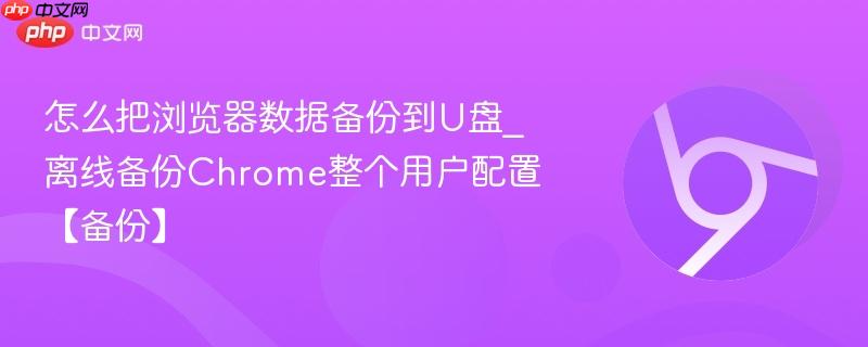 怎么把浏览器数据备份到U盘_离线备份Chrome整个用户配置【备份】  第1张