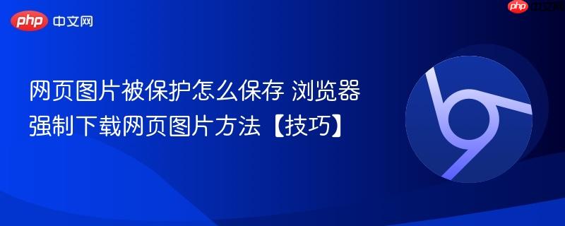 网页图片被保护怎么保存 浏览器强制下载网页图片方法【技巧】  第1张