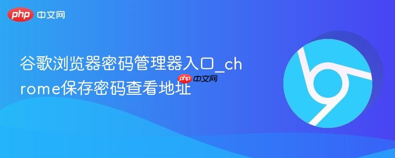谷歌浏览器密码管理器入口_chrome保存密码查看地址  第1张