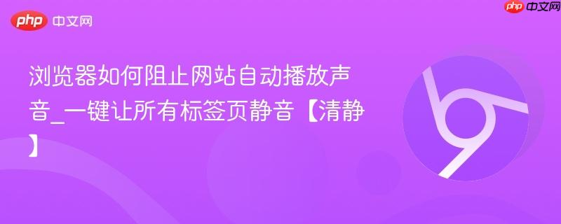 浏览器如何阻止网站自动播放声音_一键让所有标签页静音【清静】  第1张