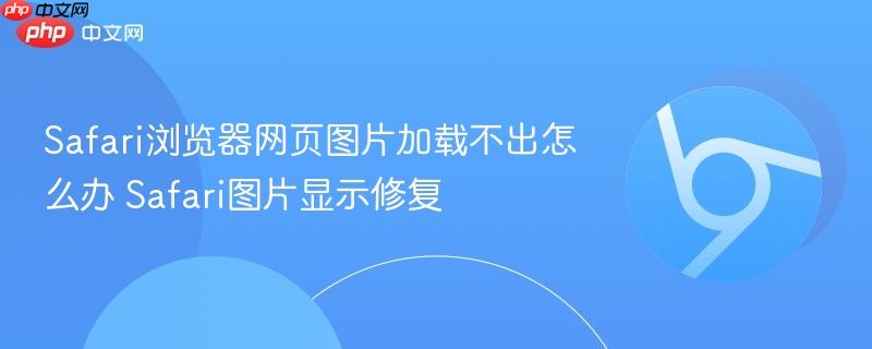 Safari浏览器网页图片加载不出怎么办 Safari图片显示修复  第1张