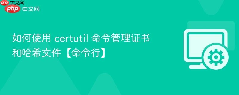 如何使用 certutil 命令管理证书和哈希文件【命令行】  第1张