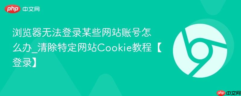 浏览器无法登录某些网站账号怎么办_清除特定网站Cookie教程【登录】  第1张