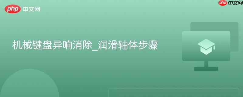 机械键盘异响消除_润滑轴体步骤  第1张