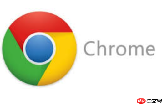 Google入口在线地址详解_Google官网首页在线访问永久入口  第1张