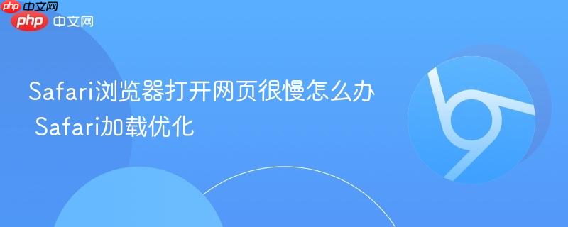 Safari浏览器打开网页很慢怎么办 Safari加载优化 第1张 Safari浏览器打开网页很慢怎么办 Safari加载优化 第1张
