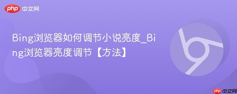 Bing浏览器如何调节小说亮度_Bing浏览器亮度调节【方法】  第1张