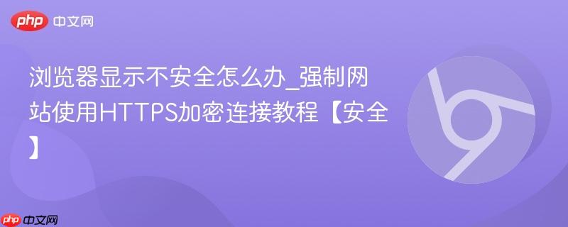 浏览器显示不安全怎么办_强制网站使用HTTPS加密连接教程【安全】  第1张