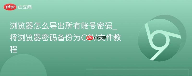 浏览器怎么导出所有账号密码_将浏览器密码备份为CSV文件教程  第1张