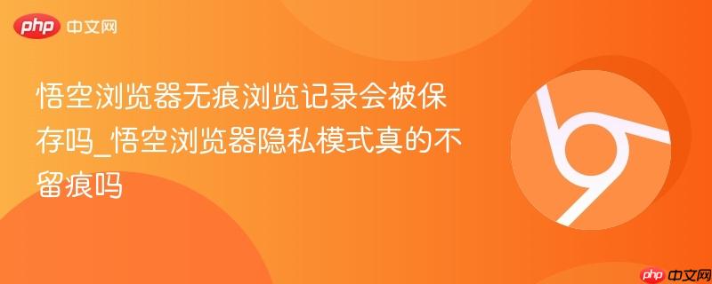 悟空浏览器无痕浏览记录会被保存吗_悟空浏览器隐私模式真的不留痕吗  第1张