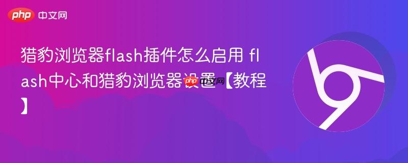 猎豹浏览器flash插件怎么启用 flash中心和猎豹浏览器设置【教程】  第1张
