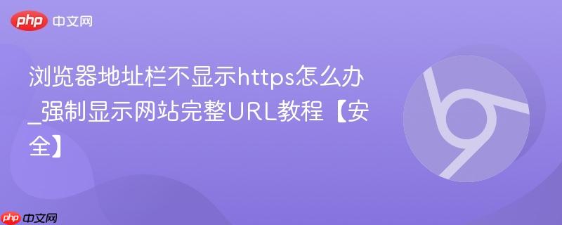 浏览器地址栏不显示https怎么办_强制显示网站完整URL教程【安全】  第1张