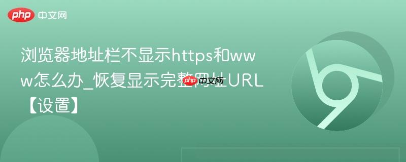 浏览器地址栏不显示https和www怎么办_恢复显示完整网址URL【设置】  第1张