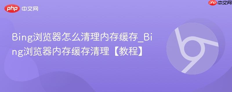 Bing浏览器怎么清理内存缓存_Bing浏览器内存缓存清理【教程】  第1张
