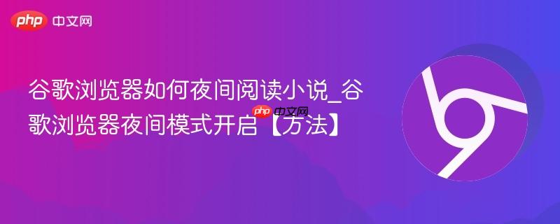 谷歌浏览器如何夜间阅读小说_谷歌浏览器夜间模式开启【方法】