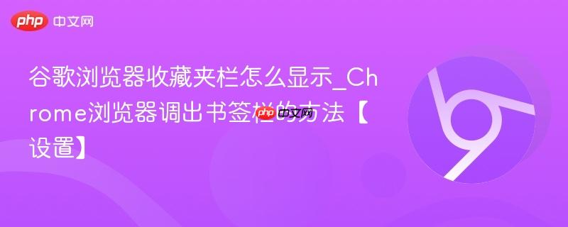 谷歌浏览器收藏夹栏怎么显示_Chrome浏览器调出书签栏的方法【设置】  第1张