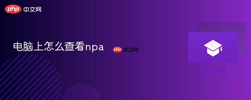 电脑上怎么查看npa  第1张
