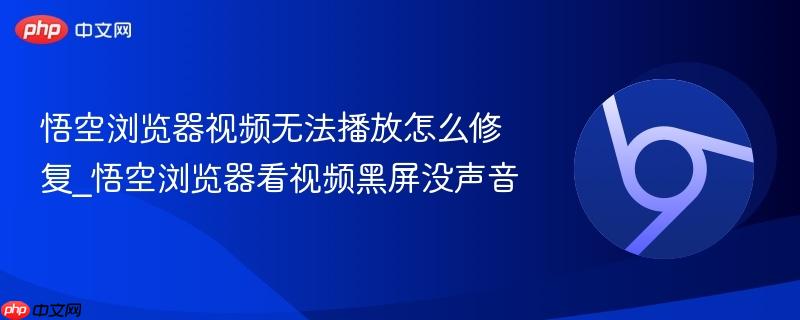 悟空浏览器视频无法播放怎么修复_悟空浏览器看视频黑屏没声音