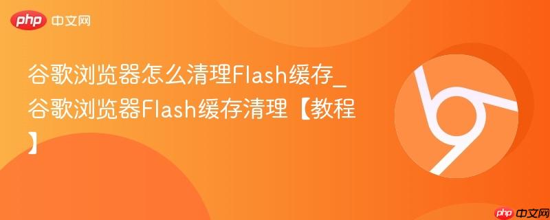 谷歌浏览器怎么清理Flash缓存_谷歌浏览器Flash缓存清理【教程】  第1张
