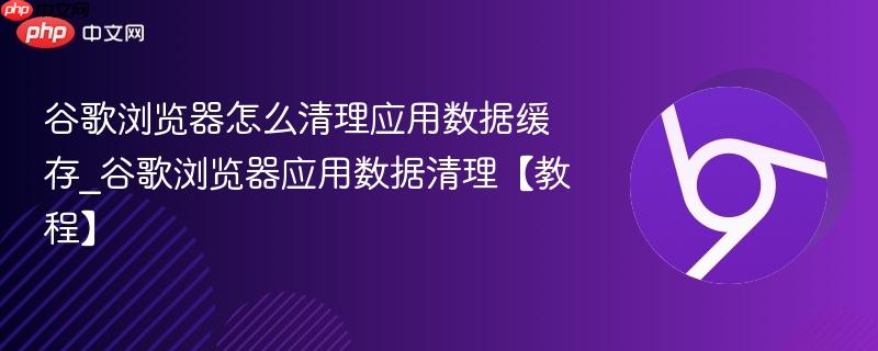 谷歌浏览器怎么清理应用数据缓存_谷歌浏览器应用数据清理【教程】  第1张