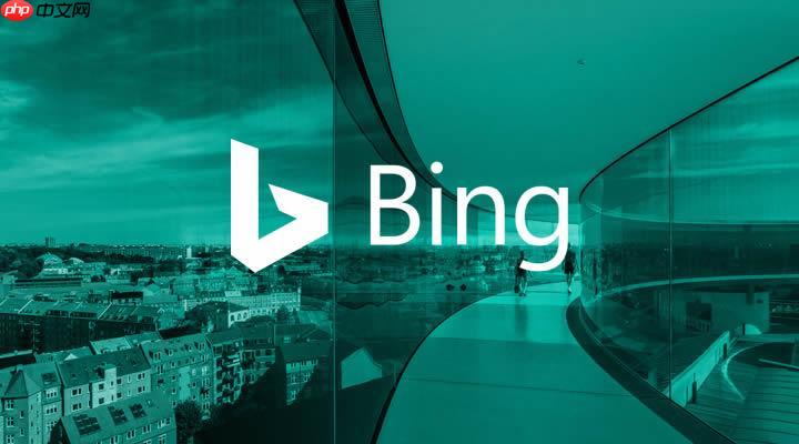 BING搜索引擎如何搜索代码案例_BING代码搜索语法与筛选技巧【攻略】  第1张