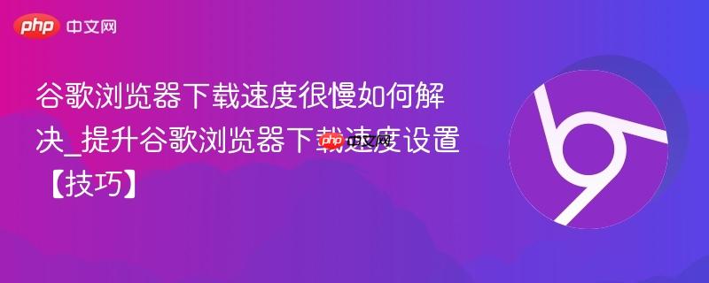 谷歌浏览器下载速度很慢如何解决_提升谷歌浏览器下载速度设置【技巧】  第1张