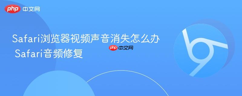 Safari浏览器视频声音消失怎么办 Safari音频修复  第1张