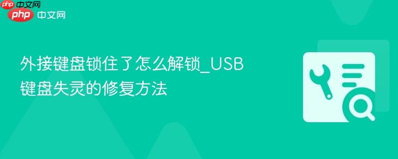 外接键盘锁住了怎么解锁_USB键盘失灵的修复方法  第1张