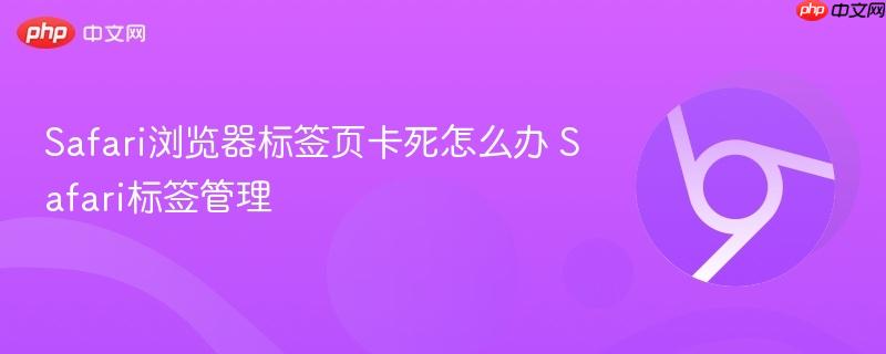 Safari浏览器标签页卡死怎么办 Safari标签管理  第1张
