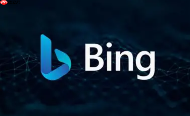 Bing浏览器在线入口官网 Bing浏览器网页版直达地址  第1张