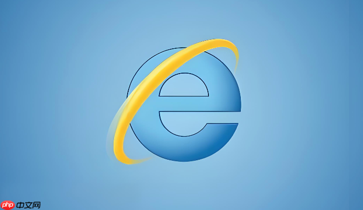 IE浏览器手机版入口 IE浏览器手机端在线访问地址  第1张