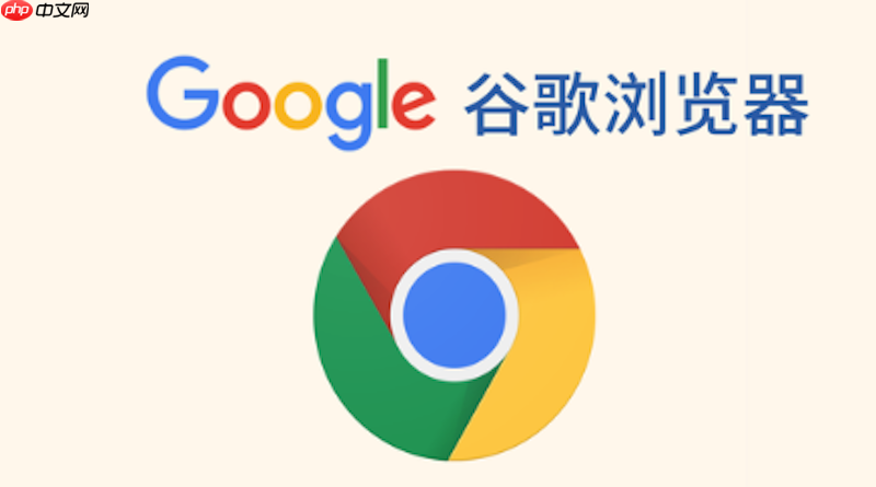 Google浏览器官方网页版入口 Google浏览器最新版官网直达  第1张