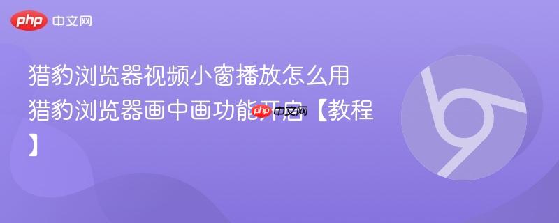 猎豹浏览器视频小窗播放怎么用 猎豹浏览器画中画功能开启【教程】  第1张