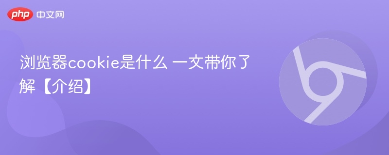 浏览器cookie是什么 一文带你了解【介绍】  第1张