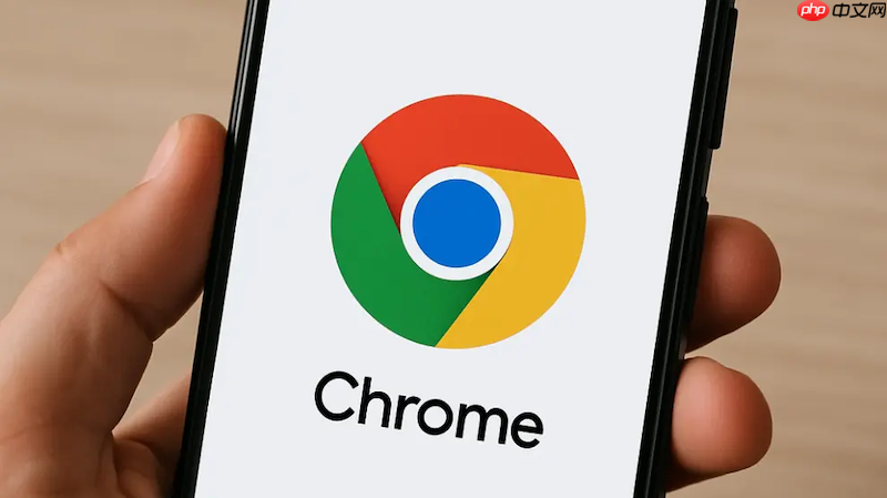 chrome浏览器网页轻便版入口 chrome网页版轻量级体验