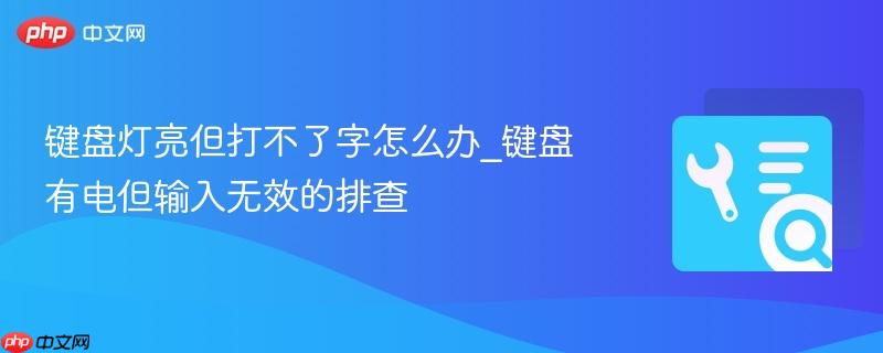 键盘灯亮但打不了字怎么办_键盘有电但输入无效的排查  第1张