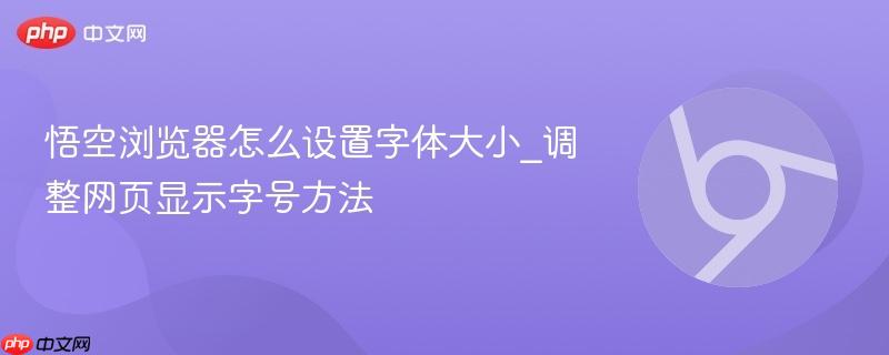 悟空浏览器怎么设置字体大小_调整网页显示字号方法  第1张