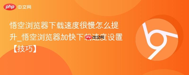 悟空浏览器下载速度很慢怎么提升_悟空浏览器加快下载速度设置【技巧】