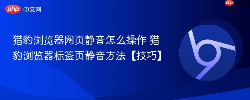 猎豹浏览器网页静音怎么操作 猎豹浏览器标签页静音方法【技巧】  第1张