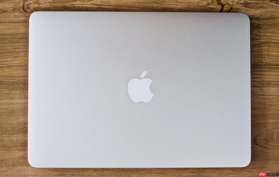 苹果电脑如何快速调整窗口大小 苹果电脑窗口调整快捷方法  第1张