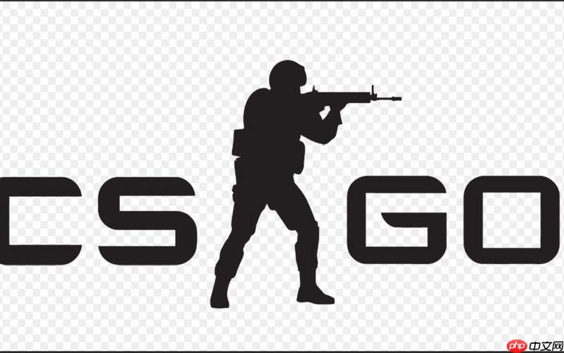 前沿CSGO开箱网指南 CSGO开箱网站排行  第1张