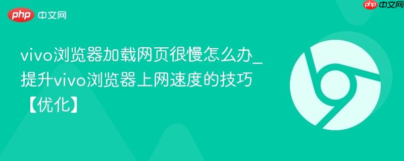 vivo浏览器加载网页很慢怎么办_提升vivo浏览器上网速度的技巧【优化】  第1张