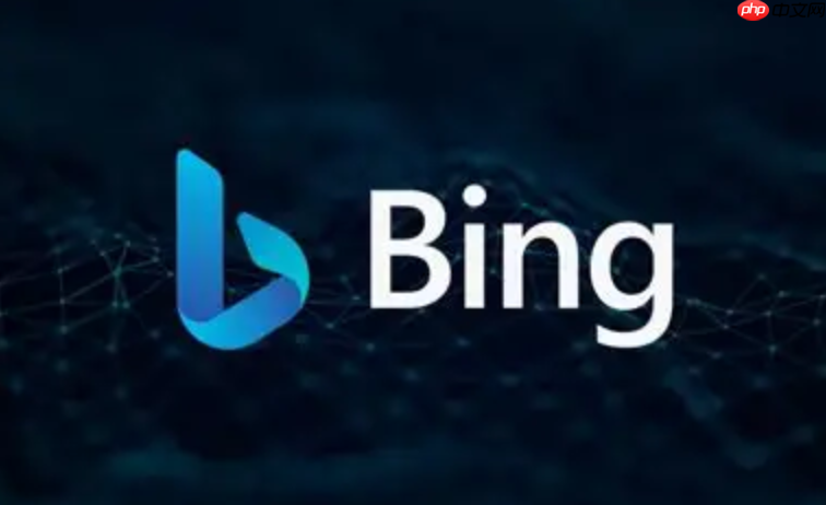 bing国际版网页版在线链接 bing国际版网页浏览器快速使用 第1张 bing国际版网页版在线链接 bing国际版网页浏览器快速使用 第1张