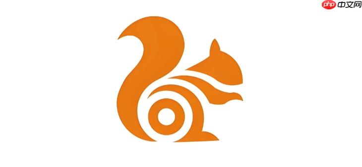 UC浏览器无法下载大文件怎么办 UC浏览器下载管理修复  第1张