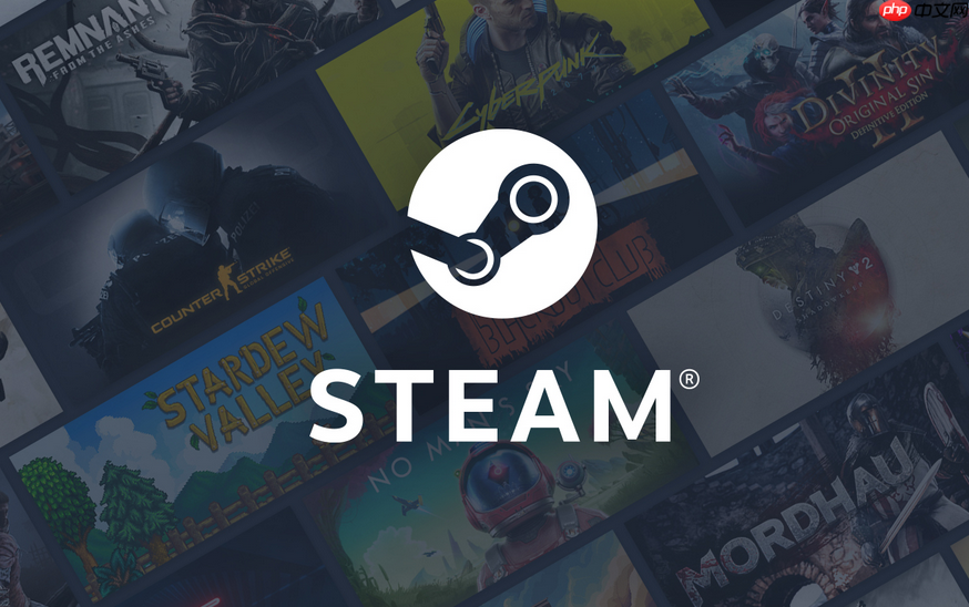 Steam怎么设置隐私 Steam隐私选项设置与个人信息保护教程  第1张