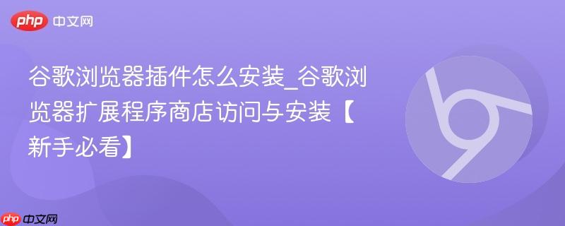 谷歌浏览器插件怎么安装_谷歌浏览器扩展程序商店访问与安装【新手必看】  第1张