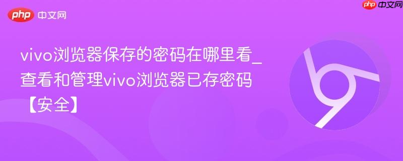 vivo浏览器保存的密码在哪里看_查看和管理vivo浏览器已存密码【安全】 第1张 vivo浏览器保存的密码在哪里看_查看和管理vivo浏览器已存密码【安全】 第1张