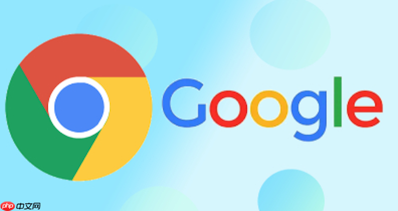 Google浏览器最新网页版官网 Google浏览器在线进入一键通道  第1张